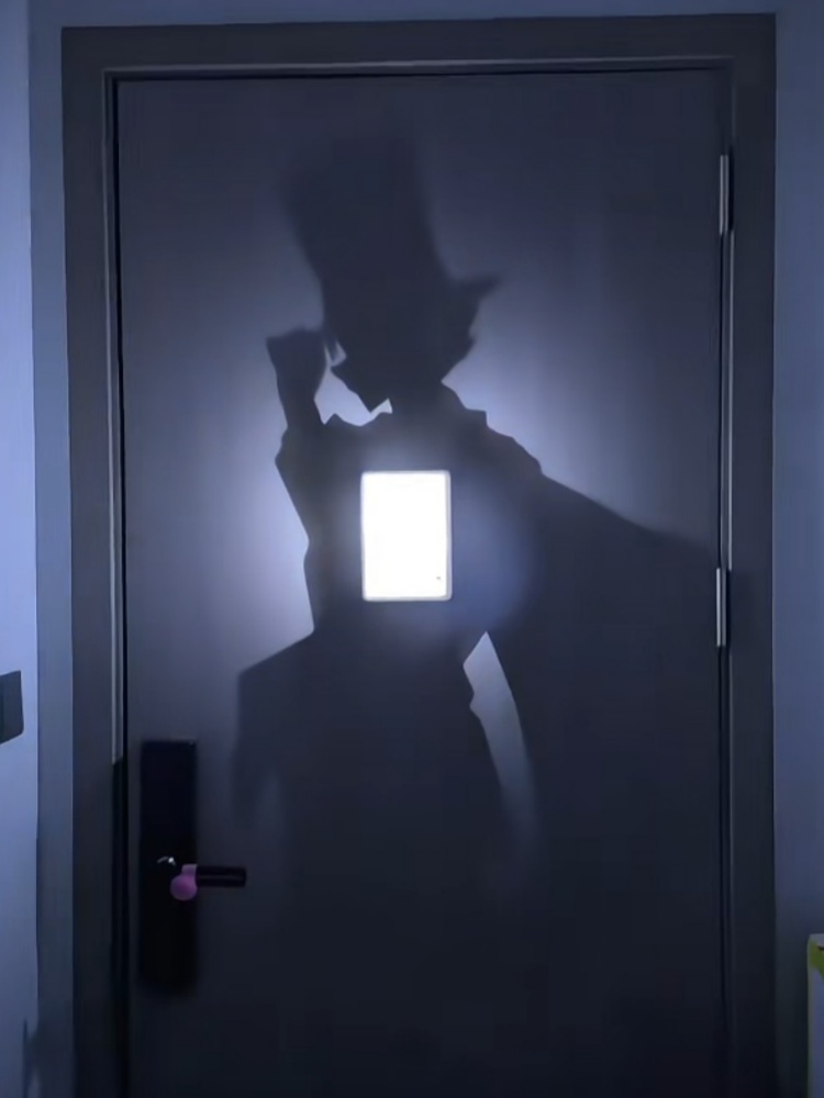 Anime Figure Silhouette Wall L - Lighting Home Decor Items recension och pris